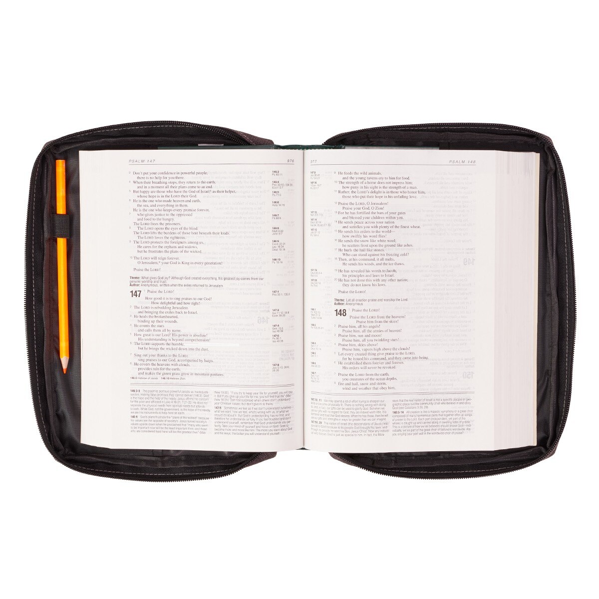 Book Cover w//Fish Applique Medium, Black Poly-Canvas Bible